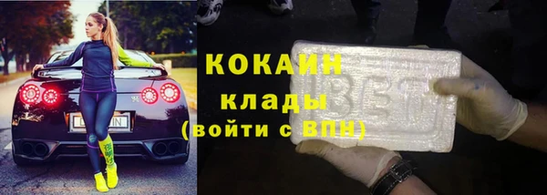 тгк Каменка