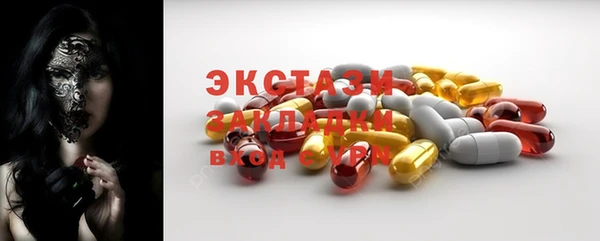 тгк Каменка