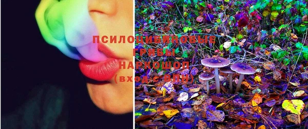 mix Инта