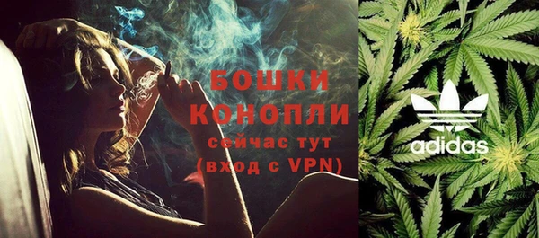mix Инта