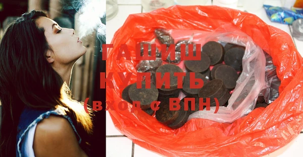 mix Инта