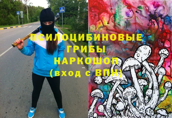 mix Инта