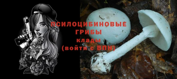 2c-b Иннополис