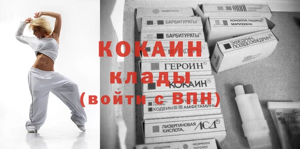 mix Инта